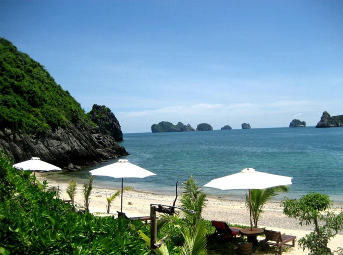 Vung Tau to Da Nang: How to Travel Between Two Coastal Cities